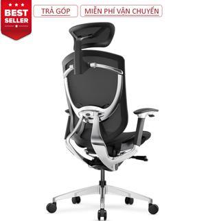 Ghế công thái học GTChair IFIT Ergonomic