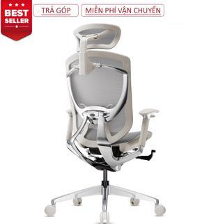 Ghế công thái học GTChair IFIT Ergonomic