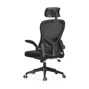 Ghế công thái học Hbada Ergonomic E HDNY186BM