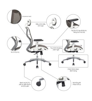 Ghế công thái học HyperWork HPW01