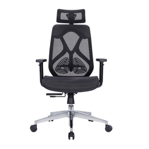 Ghế công thái học HyperWork HPW01