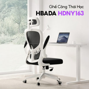 Ghế công thái học Xiaomi Hbada HDNY163