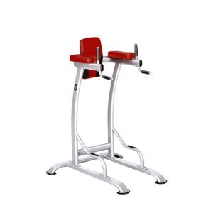 Ghế đá bụng dưới Tiger Sport TG-270