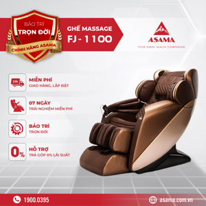 Ghế massage Fujikashi FJ-1100