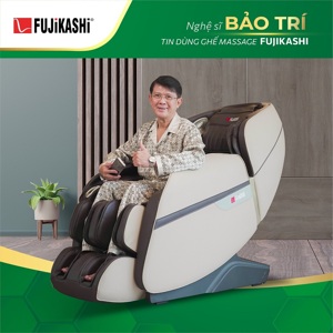 Ghế massage nhập khẩu Fujikashi FJ-1900