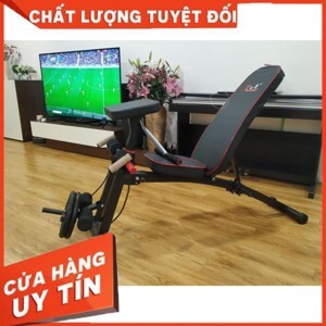 Ghế tập Gym KK-021D