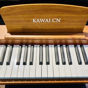 Ghế xoay CN-01