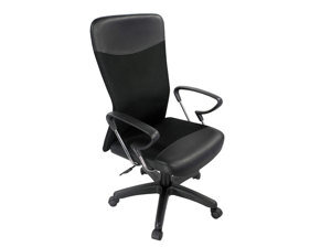 Ghế xoay văn phòng 190 GX11L