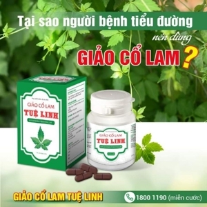 Viên Giảo Cổ Lam Tuệ Linh - 60 viên