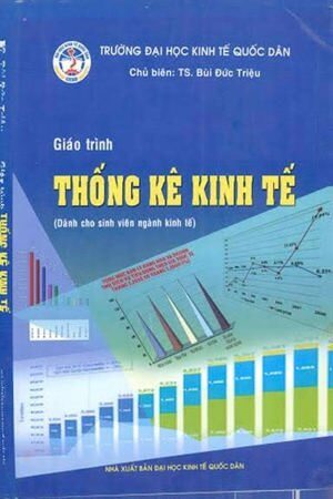 Giáo trình thống kê kinh tế - Bùi Đức Triệu