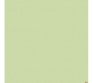 Giấy dán tường Albany 6813