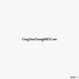 Giấy dán tường Base 3802