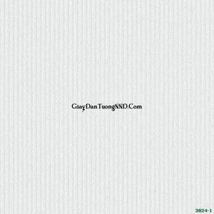 Giấy dán tường Base 3824