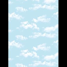 Giấy dán tường Dream World 5125-1