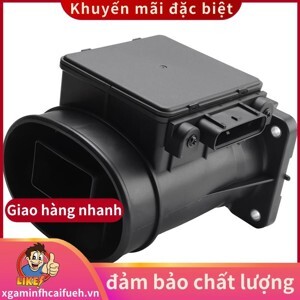 Giấy dán tường EAGLE 2004