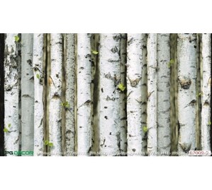 Giấy dán tường Hàn Quốc Natural mã 87009