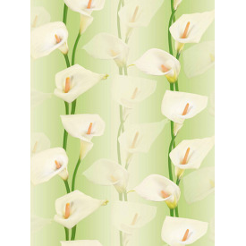 Giấy dán tường Lily 36013