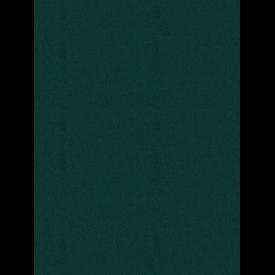 Giấy dán tường V-CONCEPT 7906