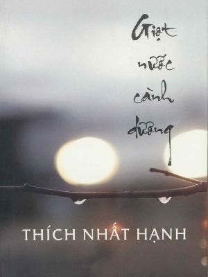 Giọt nước cành dương