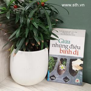 Giữa những điều bình dị - Nguyễn Quang Thân