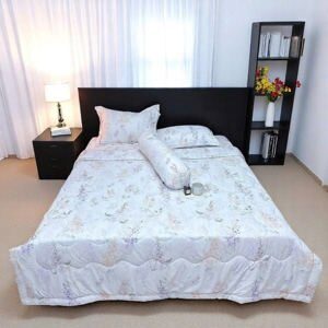 Giường 2 tầng BB04 (BB-04)