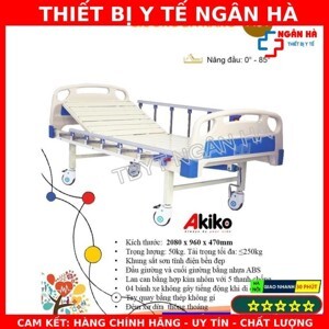 Giường bệnh nhân 1 tay quay Akiko A81