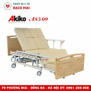 Giường bệnh nhân 4 tay quay Akiko a85-09