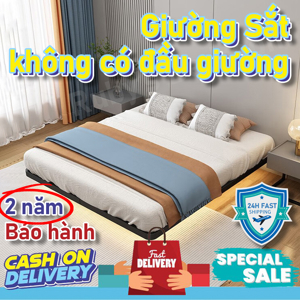 Giường sắt Đại Thành 1m6 x 2m