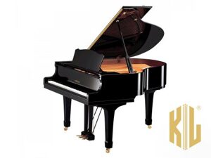 Đàn Grand Piano Yamaha C1 PE - Piano cơ