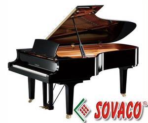 Đàn Grand Piano Yamaha C3 PE - Piano cơ