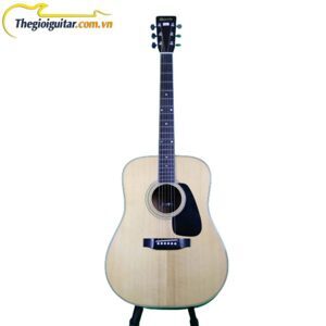 Đàn Guitar Acoustic Morris MD-505