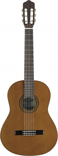 Đàn Guitar Classic Stagg C548