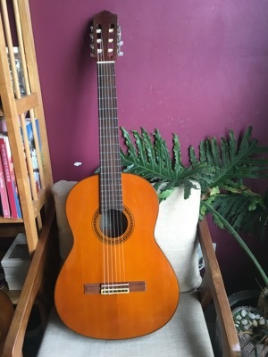 Đàn Guitar Classic Yamaha CG-120A