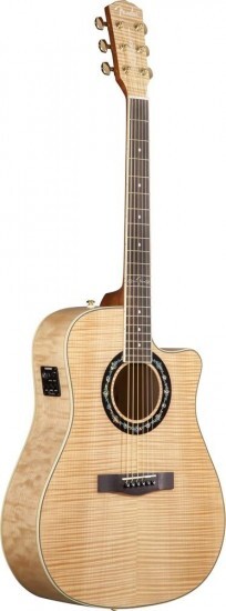 Guitar Fender T-Bucket 400CE