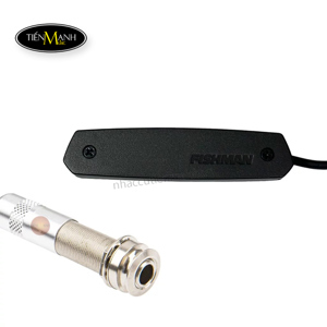 Guitar Pickup Fishman