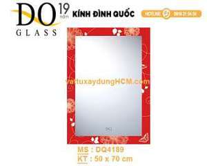 Gương phòng tắm Đình Quốc DQ 4189 (50x70)