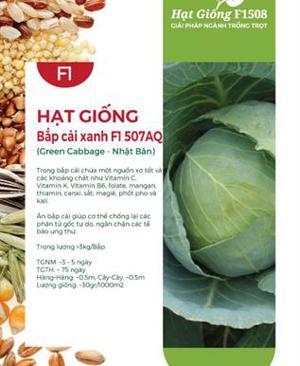 Hạt giống bắp cải xanh F1