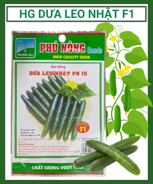 Hạt giống dưa leo Nhật F1 Phú Nông PN-15 0.5g