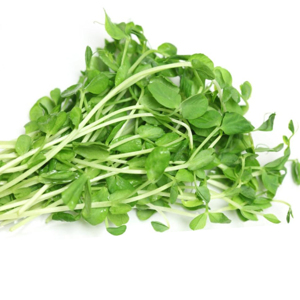 Hạt giống rau mầm đậu hà lan - 50 gram