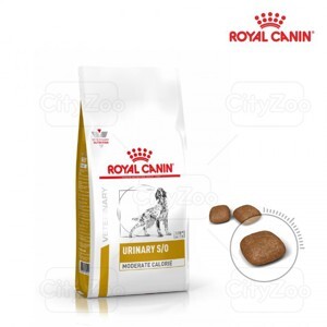 Hạt khô cho Chó bị thận Royal Canin Urinary Canine 2kg