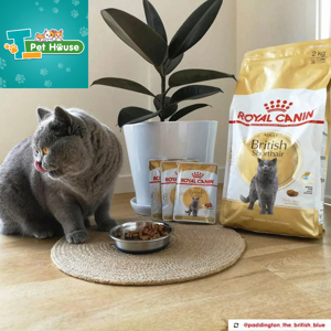 Hạt khô Royal Canin British Shorthair Adult 2kg