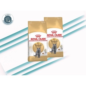 Hạt khô Royal Canin British Shorthair Adult 2kg