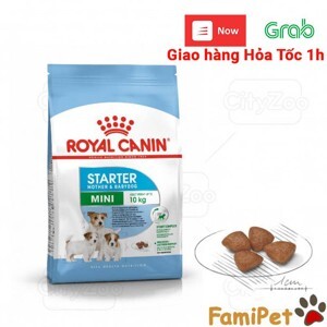Hạt khô Royal Canin Mini Starter 1kg