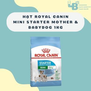 Hạt khô Royal Canin Mini Starter 1kg