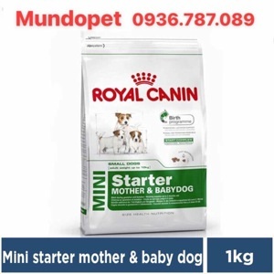 Hạt khô Royal Canin Mini Starter 1kg