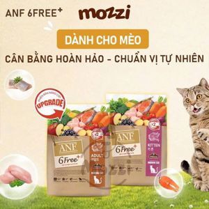 Hạt Mèo ANF 6Free Natural for Indoor Kitten Cat Mèo Con 200g