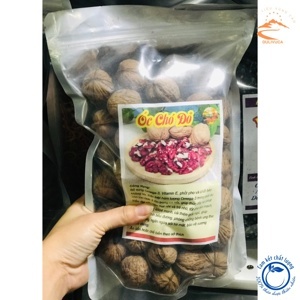 Hạt óc chó nguyên vỏ Mỹ 500g