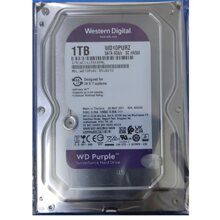 HDD Western Caviar Purple 1TB Sata 3