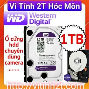 HDD Western Caviar Purple 1TB Sata 3