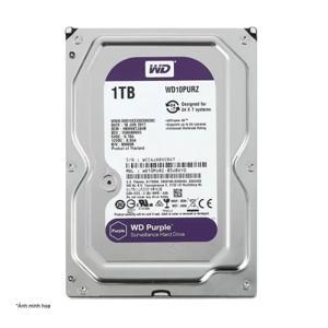 HDD Western Caviar Purple 1TB Sata 3